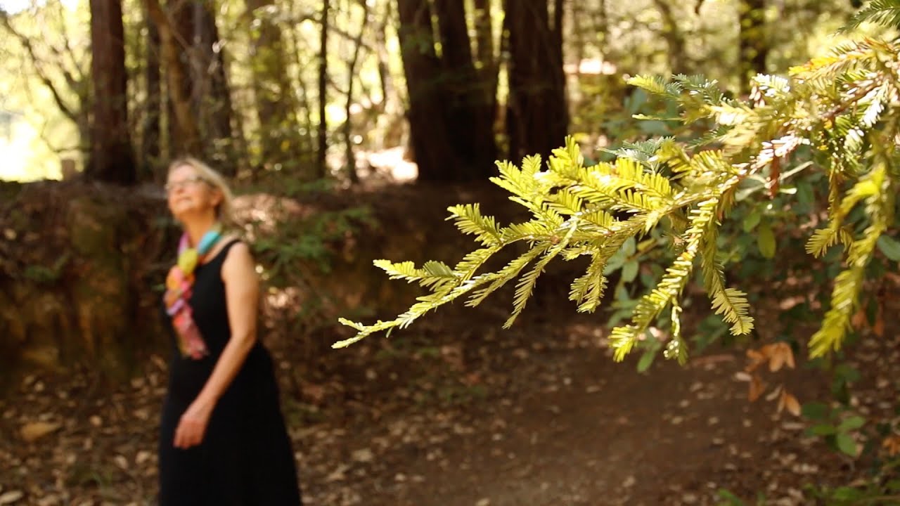 How to Use Nature Walks for Stress Relief